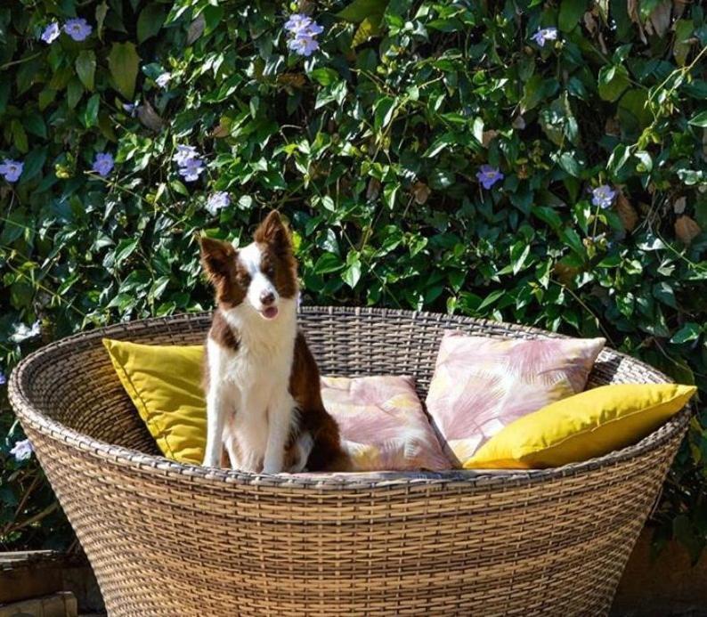 Villa Aye Pousada Boutique Petfriendly Socorro  Exterior photo
