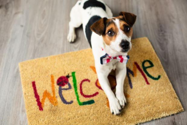 Villa Aye Pousada Boutique Petfriendly Socorro  Exterior photo